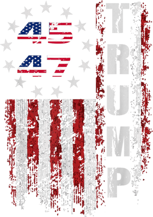 American Made Trump Merchandise Trump 45 47 Flag 2025 T-Shirt