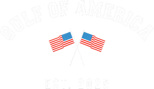 Gulf Retro Of America Est 2025 Usa American Flag T-Shirt