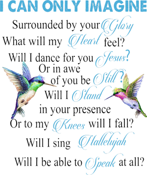 Hummingbirds Faith Jesus I Can Imagine Christian Religious T-Shirt