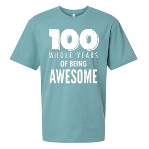 100 Whole Years Of Being Awesome Birthday Sueded Cloud Jersey T-Shirt