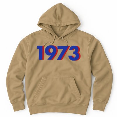 1973 1973 Support Roe V Wade, Pro Choice, Protect Roe V Wade Hoodie