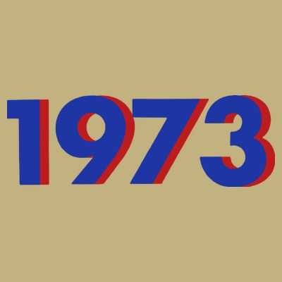 1973 1973 Support Roe V Wade, Pro Choice, Protect Roe V Wade T-Shirt