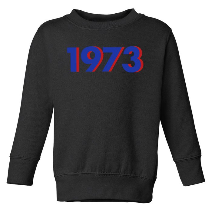 1973 1973 SNL Support Roe V Wade, Pro Choice, Protect Roe V Wade Toddler Sweatshirt