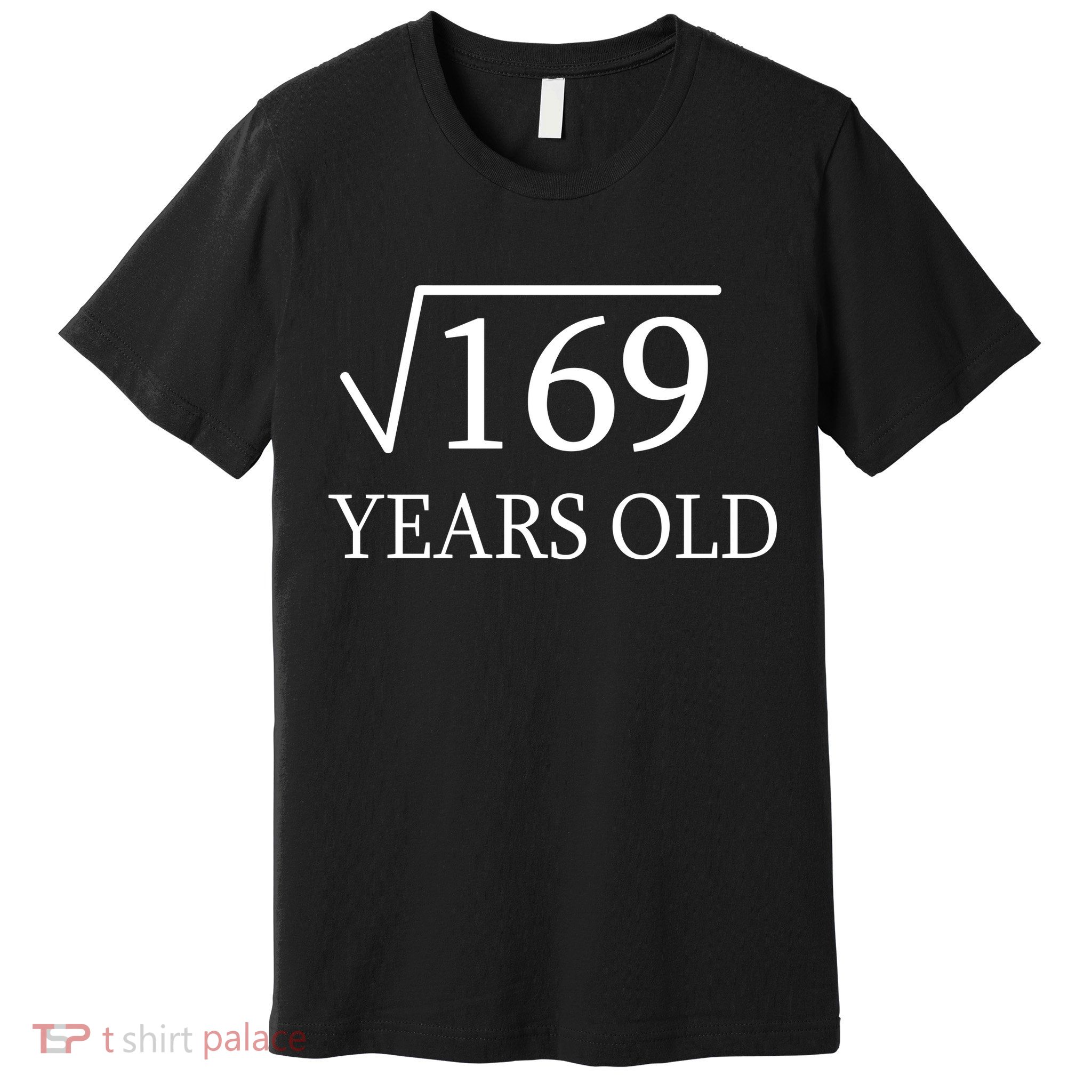 13 Years Old Square Root of 169 Premium T-Shirt