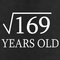 13 Years Old Square Root of 169 Microfiber Hand Towel
