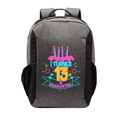 13th Birthday I Turned 13 In Quarantine Pink Frosting Vector Backpack