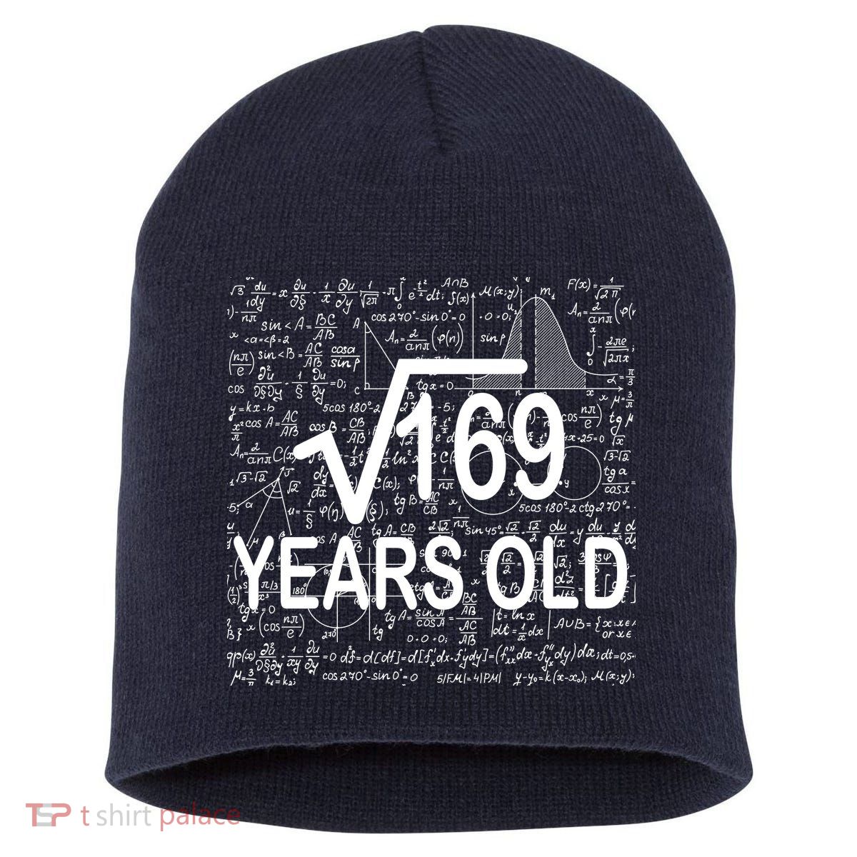 13th Birthday Square Root 169 Math Short Acrylic Beanie