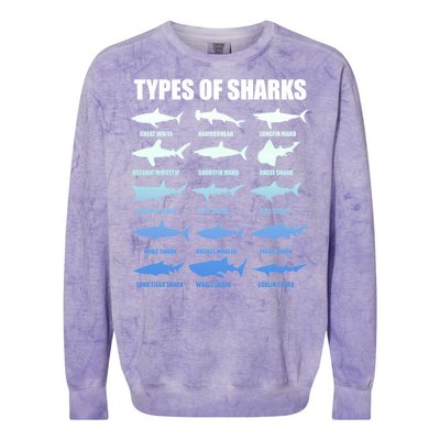 15 Types of Sharks Colorblast Crewneck Sweatshirt