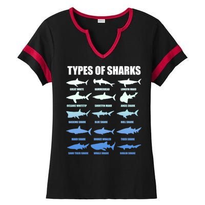 15 Types of Sharks Ladies Halftime Notch Neck Tee