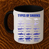 15 Types of Sharks Mug