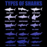 15 Types of Sharks Mug