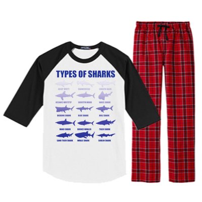 15 Types of Sharks Raglan Sleeve Pajama Set