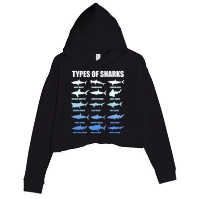 15 Types of Sharks Crop Fleece Hoodie