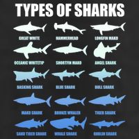 15 Types of Sharks Tumbler