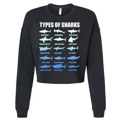 15 Types of Sharks Cropped Pullover Crew