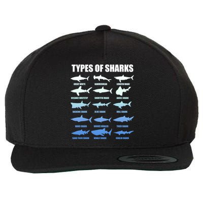 15 Types of Sharks Wool Snapback Cap