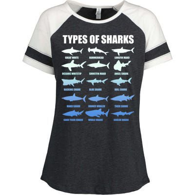 15 Types of Sharks Enza Ladies Jersey Colorblock Tee