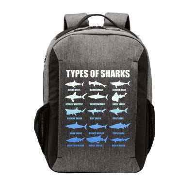 15 Types of Sharks Vector Backpack
