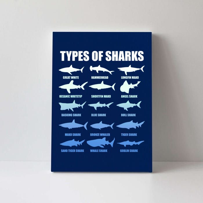 15 Types of Sharks Canvas