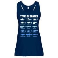 15 Types of Sharks Ladies Essential Flowy Tank