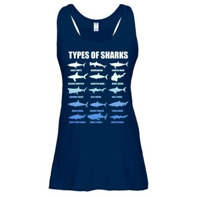 15 Types of Sharks Ladies Essential Flowy Tank