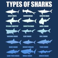 15 Types of Sharks Flatbill Hat