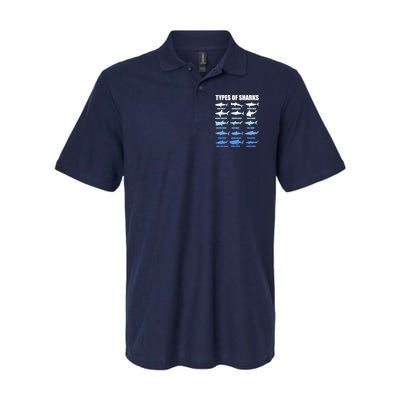 15 Types of Sharks Polo