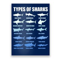 15 Types of Sharks Poster