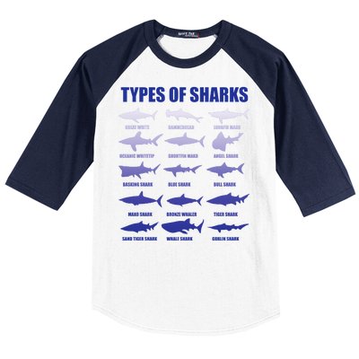 15 Types of Sharks Baseball Sleeve Shirt