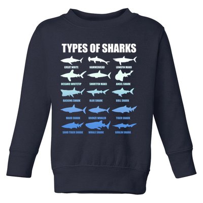 15 Types of Sharks Toddler Sweatshirt