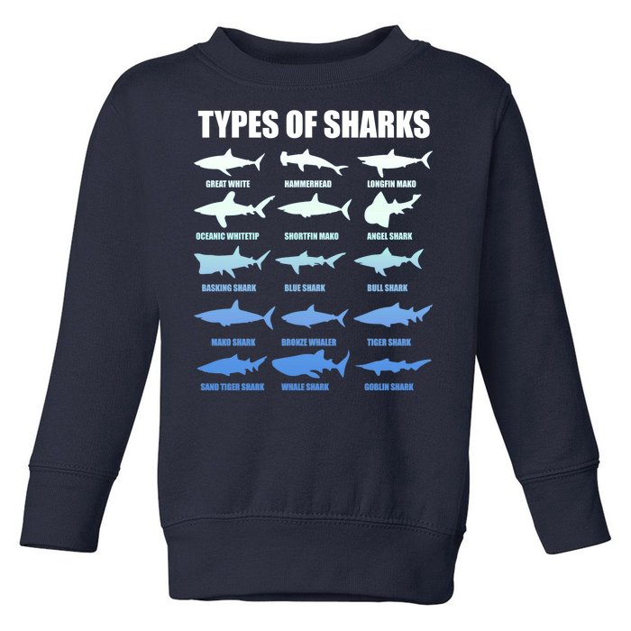 15 Types of Sharks Toddler Sweatshirt