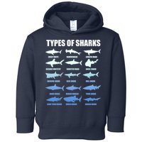 15 Types of Sharks Toddler Hoodie