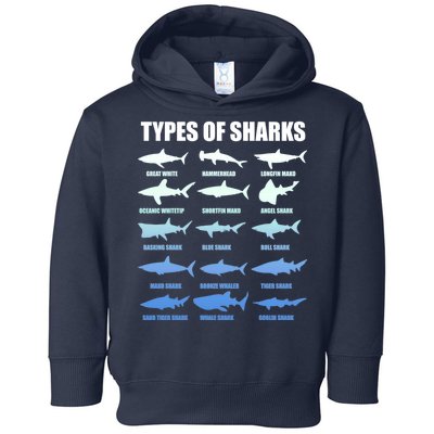 15 Types of Sharks Toddler Hoodie