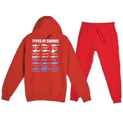 15 Types of Sharks Premium Hooded Sweatsuit Set