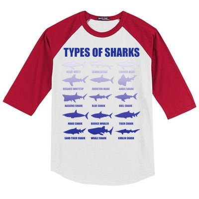 15 Types of Sharks Kids Colorblock Raglan Jersey