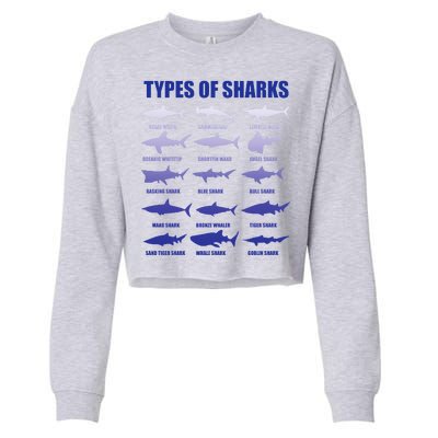 15 Types of Sharks Cropped Pullover Crew