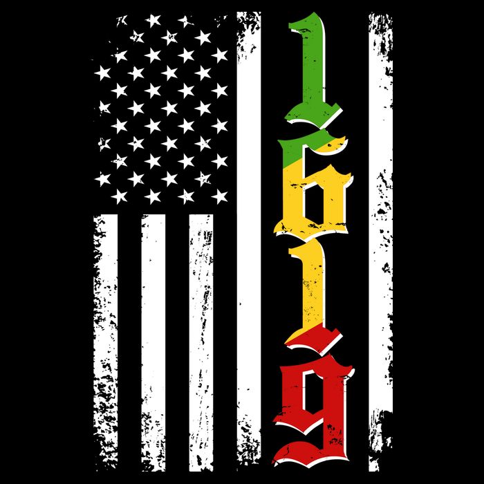 1619 US Flag African American Traditional Colors Toddler T-Shirt
