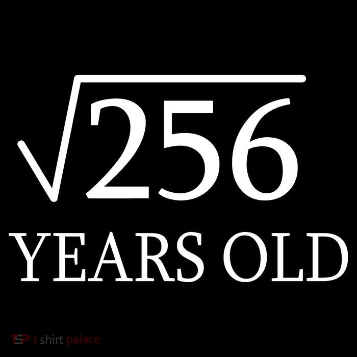 16th birthday Square Root of 256 Stripe Pom Pom Beanie