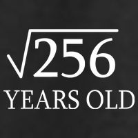16th birthday Square Root of 256 Garment-Dyed Heavyweight T-Shirt