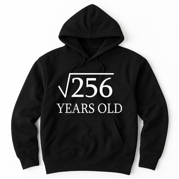 16th birthday Square Root of 256 Hoodie