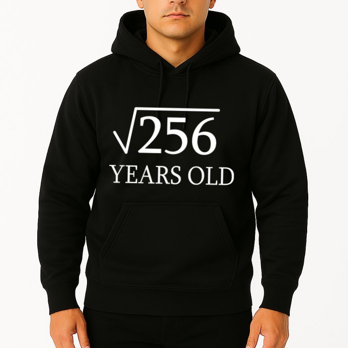16th birthday Square Root of 256 Hoodie