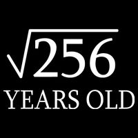 16th birthday Square Root of 256 Hoodie