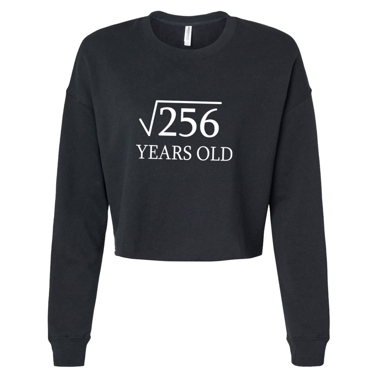 16th birthday Square Root of 256 Apron