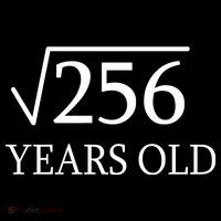 16th birthday Square Root of 256 City Backpack
