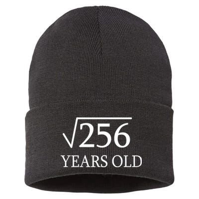 16th birthday Square Root of 256 Sustainable Knit Beanie