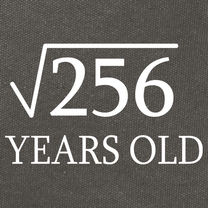 16th birthday Square Root of 256 Cotton Canvas Backpack
