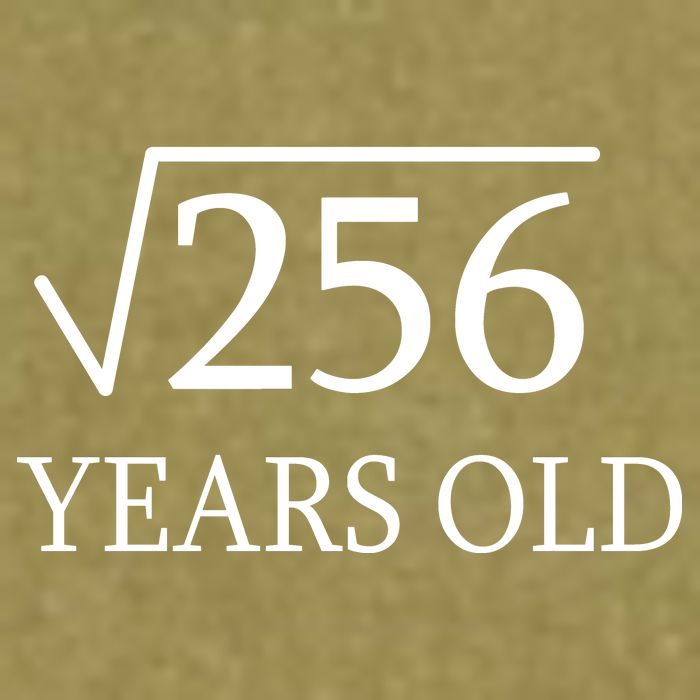 16th birthday Square Root of 256 Garment-Dyed Women's Muscle Tee