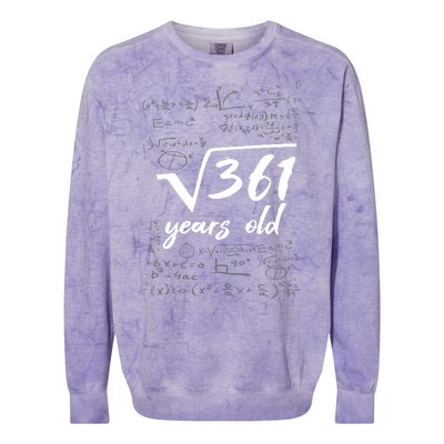 19 Year Old Birthday Math Geek Colorblast Crewneck Sweatshirt