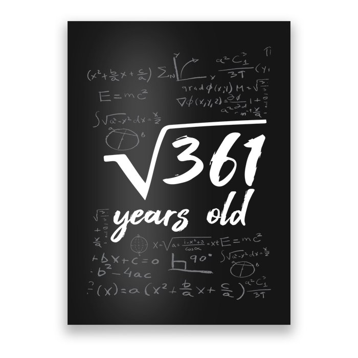19 Year Old Birthday Math Geek Poster