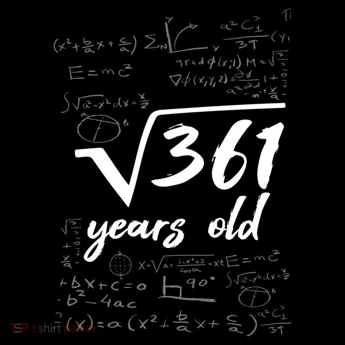 19 Year Old Birthday Math Geek Toddler T-Shirt
